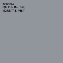 #91969C - Mountain Mist Color Image